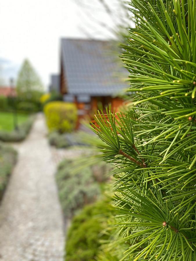 Domki U Basi Kudowa-Zdrój Exteriör bild
