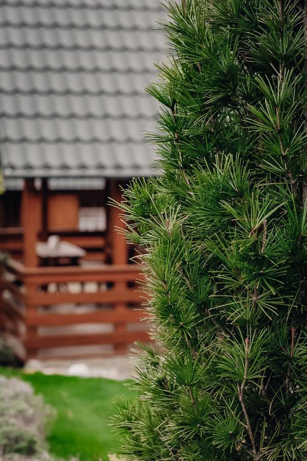 Domki U Basi Kudowa-Zdrój Exteriör bild
