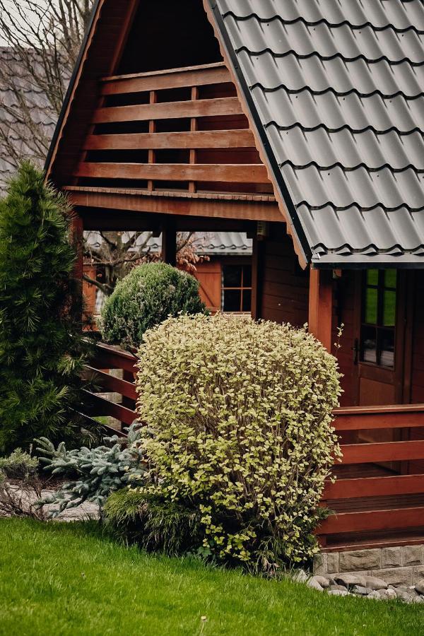 Domki U Basi Kudowa-Zdrój Exteriör bild